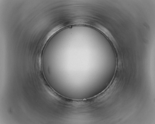 X0000113031242200909101851