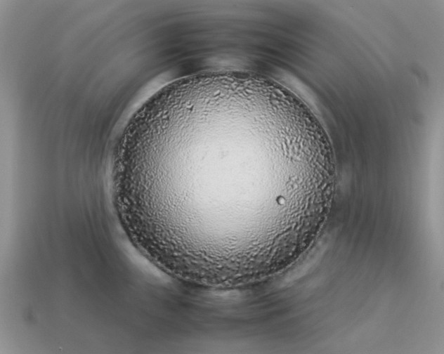 X0000113031243200909101851