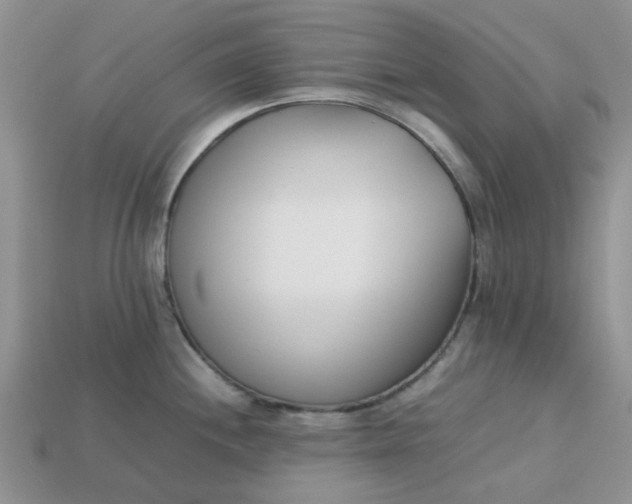 X0000113031244200909101851