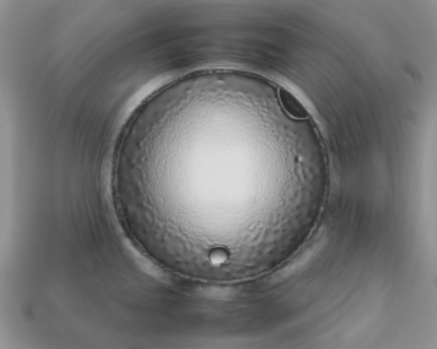 X0000113031245200909101851