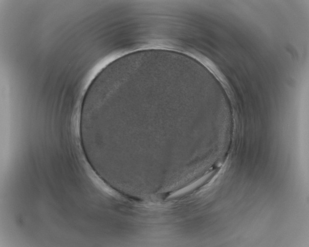 X0000113031246200909101851