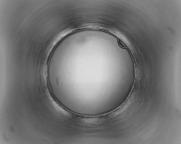 X0000113031247200909101851