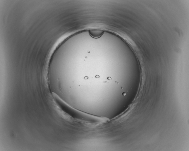 X0000113031248200909101851