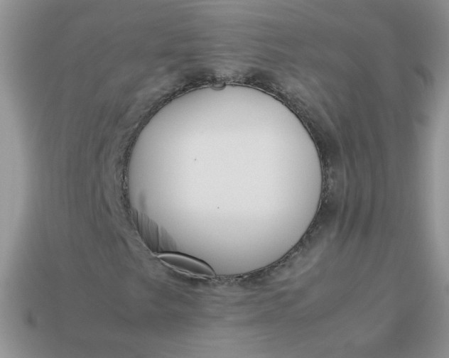 X0000113031249200909101851