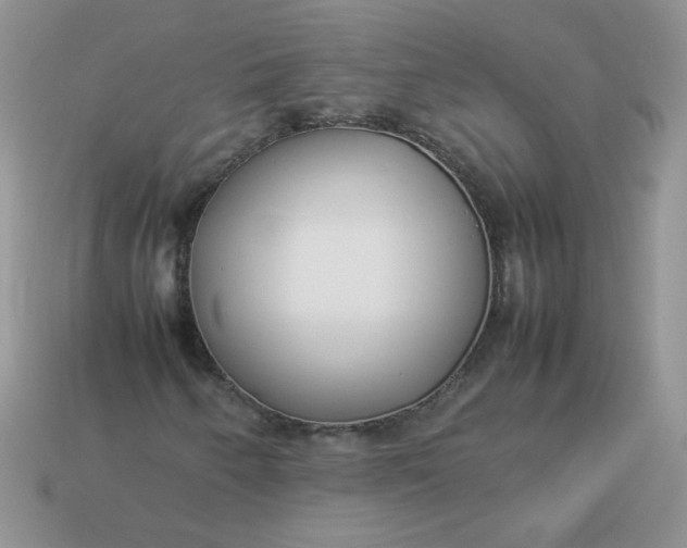 X0000113031250200909101851