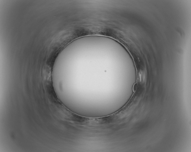 X0000113031251200909101851