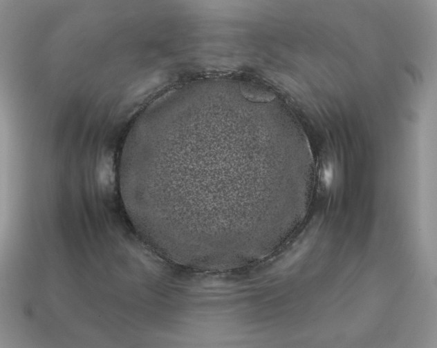 X0000113031252200909101851