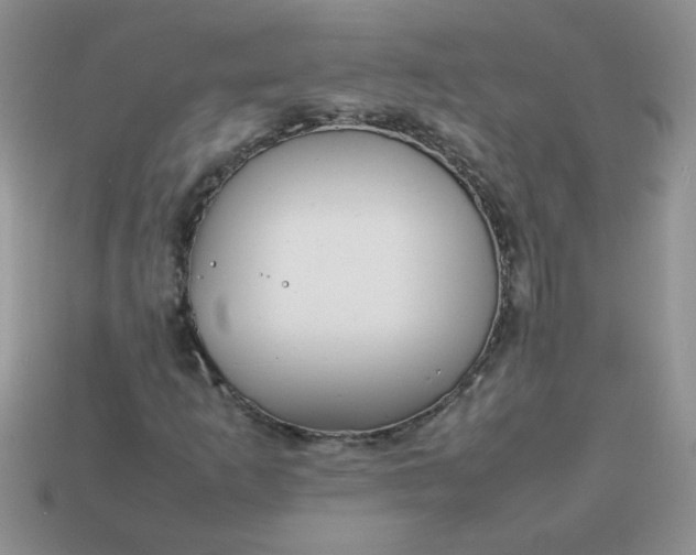 X0000113031253200909101851