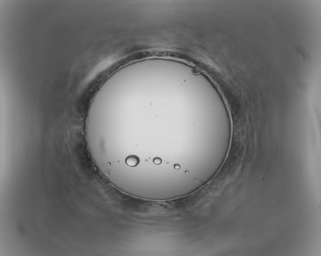 X0000113031255200909101851