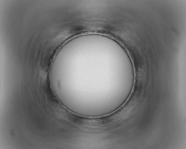 X0000113031257200909101850