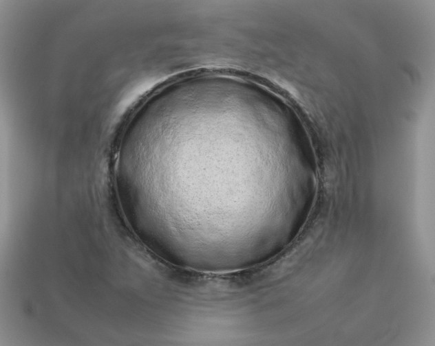 X0000113031263200909101850