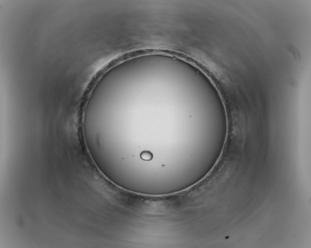 X0000113031264200909101850