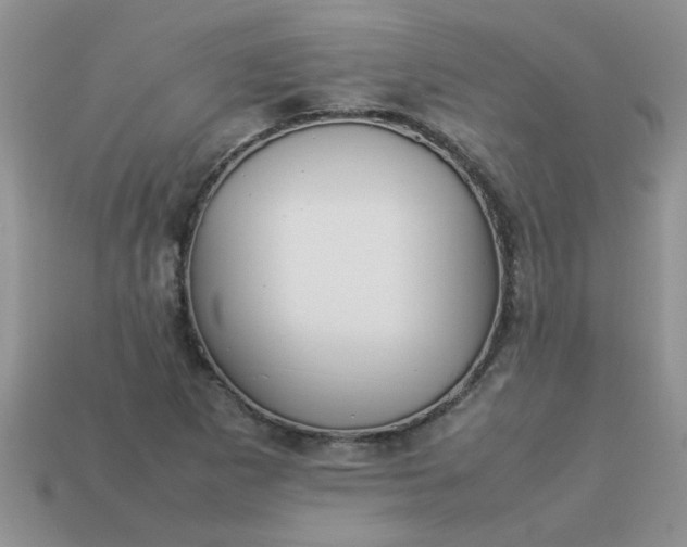 X0000113031265200909101850