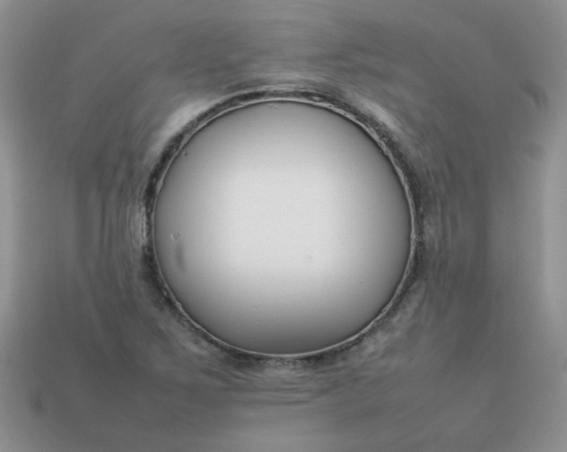 X0000113031267200909101850