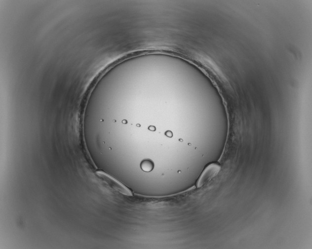 X0000113031268200909101850