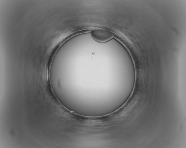 X0000113031269200909101850