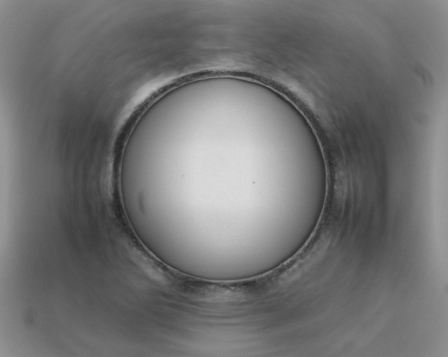 X0000113031270200909101850