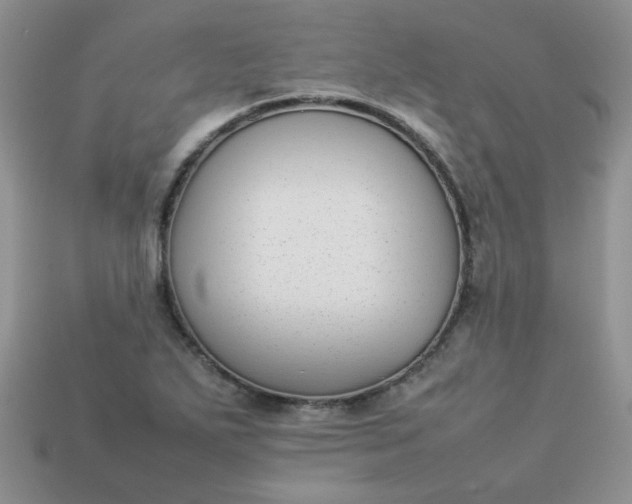 X0000113031271200909101850