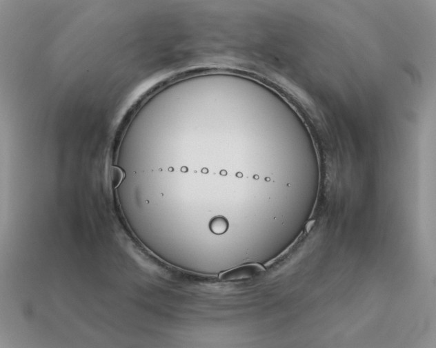 X0000113031272200909101850