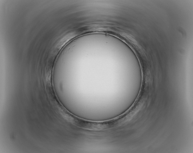 X0000113031273200909101850