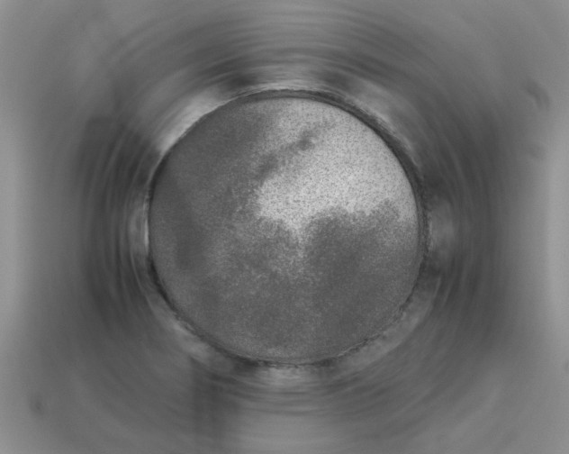 X0000113031274200909101850