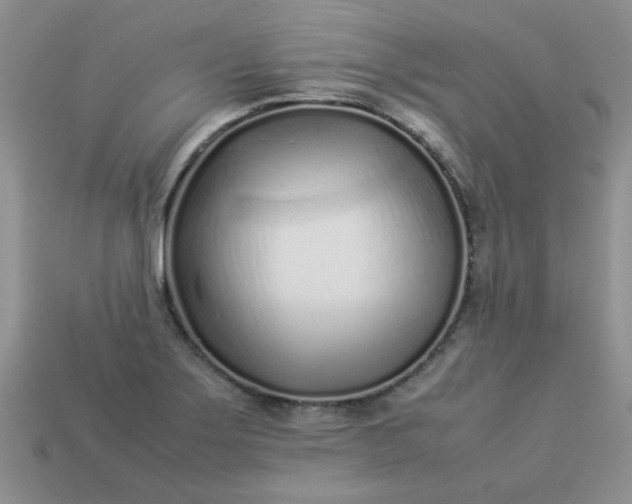 X0000113031275200909101850