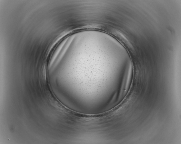 X0000113031276200909101850