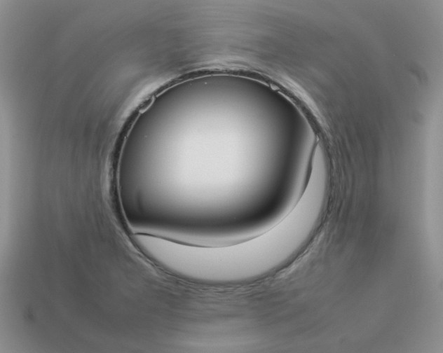 X0000113031277200909101850