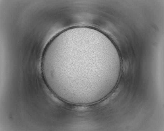 X0000113031278200909101850