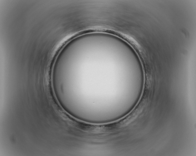 X0000113031279200909101850