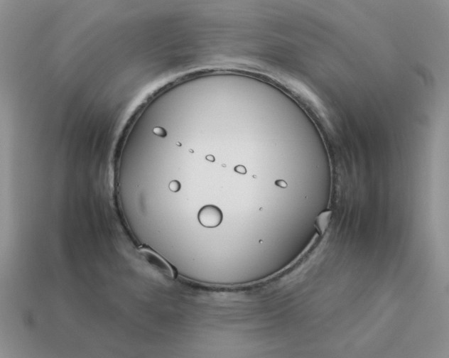 X0000113031280200909101850