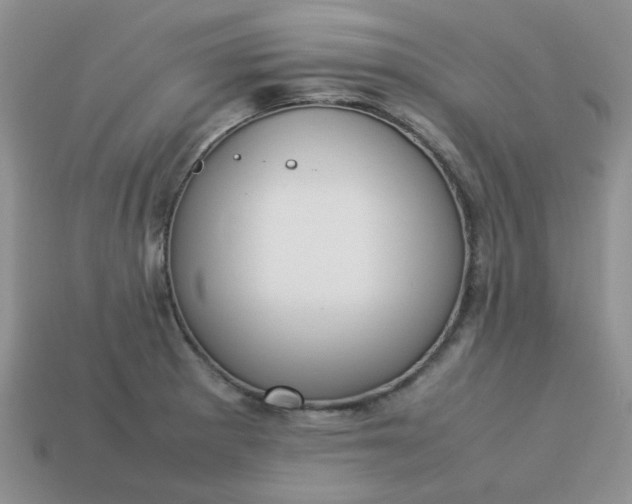 X0000113031281200909101850