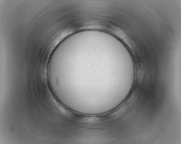 X0000113031282200909101850