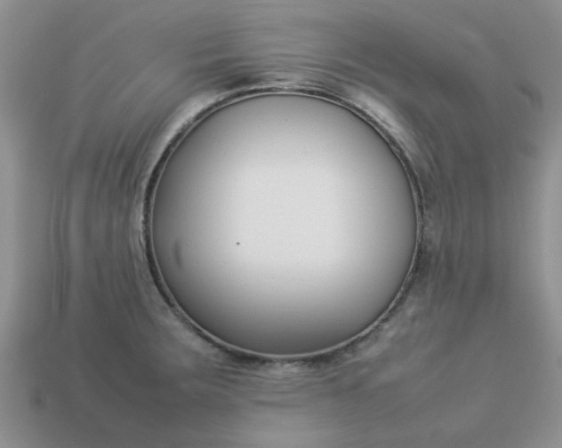 X0000113031283200909101850