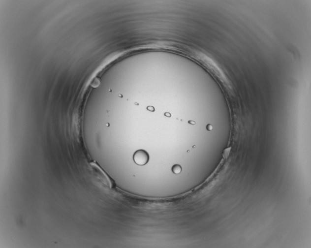 X0000113031284200909101850