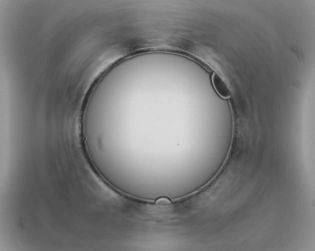 X0000113031285200909101850