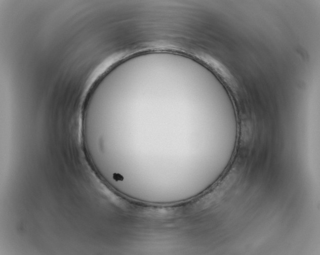 X0000113031286200909101850