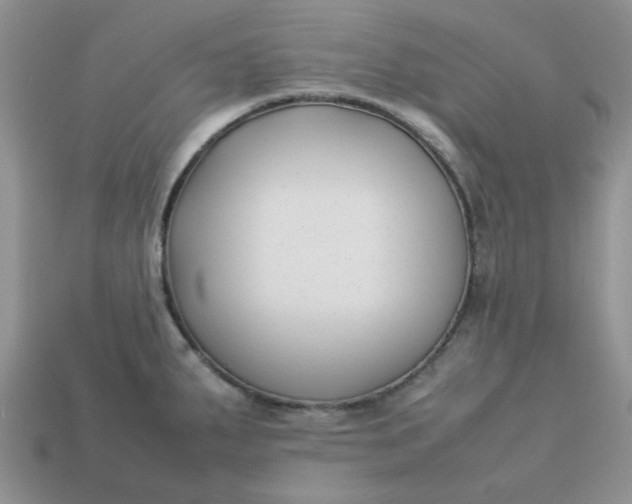 X0000113031287200909101850