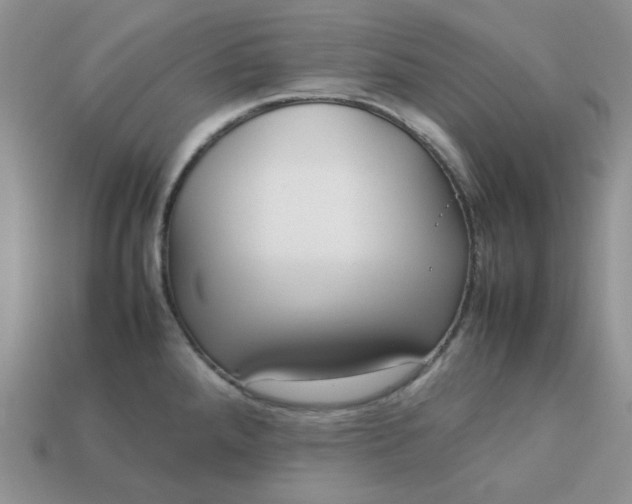 X0000113031288200909101850