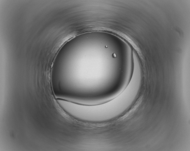 X0000113031289200909101850