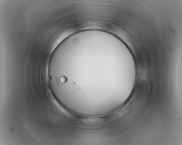 X0000113031290200909101850