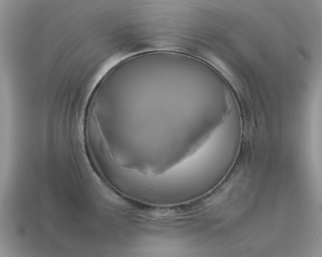 X0000113031291200909101850