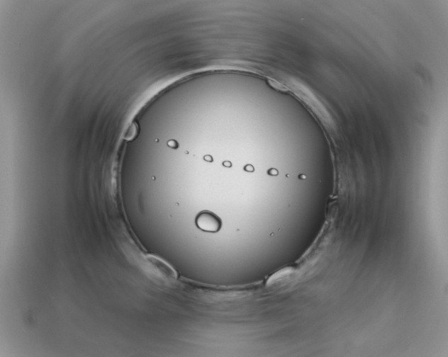 X0000113031292200909101850