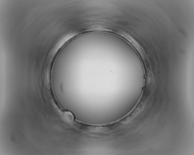 X0000113031293200909101850