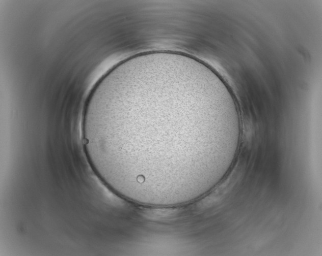 X0000113031294200909101850