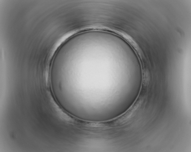 X0000113031295200909101850