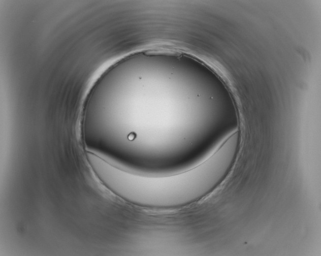 X0000113031296200909101850