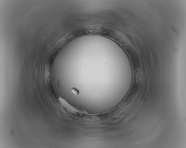 X0000113031298200909101849