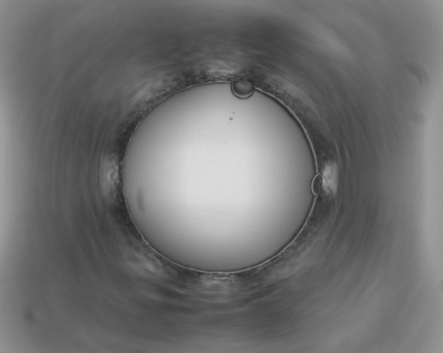 X0000113031299200909101849