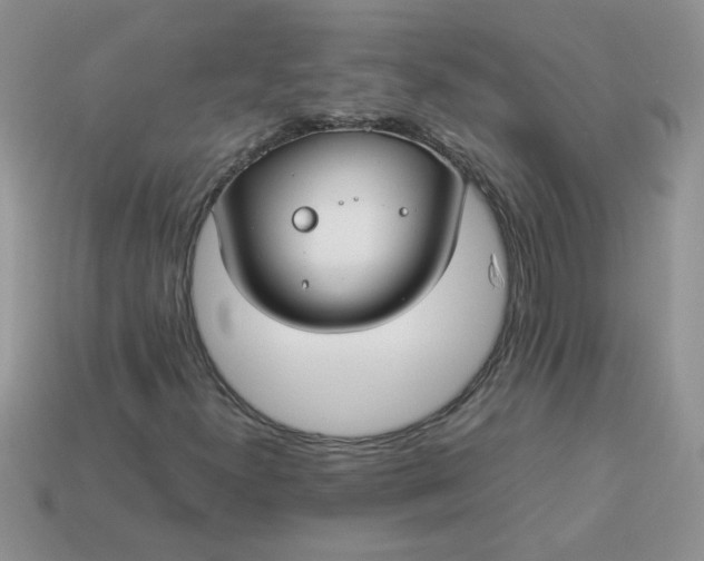 X0000113031300200909101849